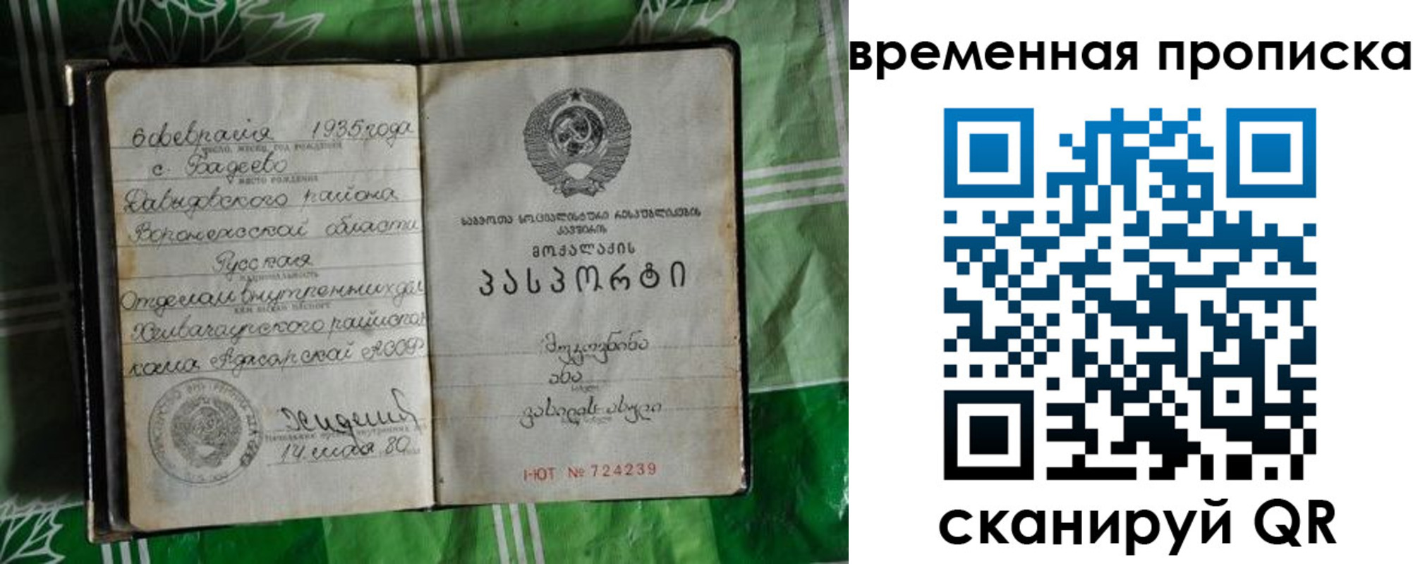 прописка в Абазе